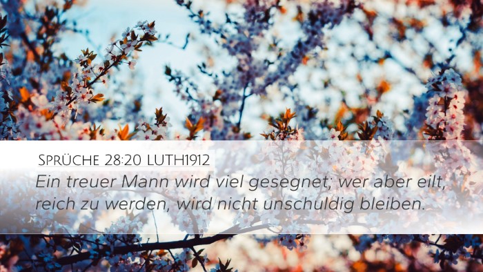 Sprüche 28:20 LUTH1912 Bible Verse Image