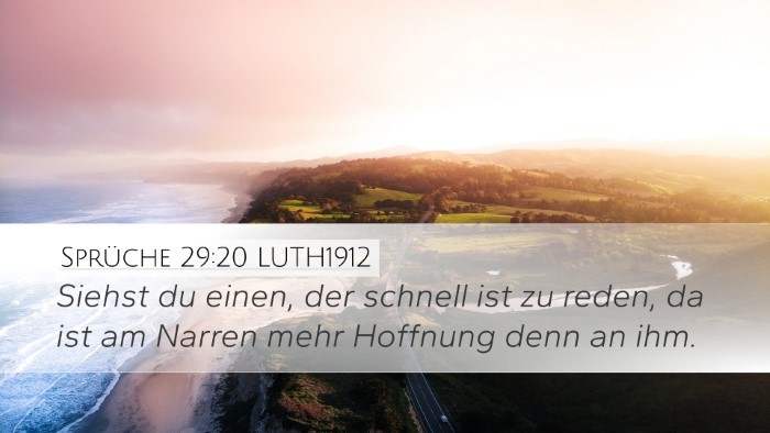 Sprüche 29:20 LUTH1912 Bible Verse Image