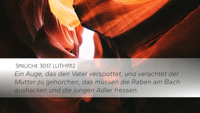 Sprüche 30:17 LUTH1912 Bible Verse Image