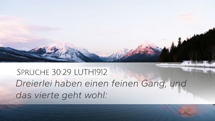 Sprüche 30:29 LUTH1912 Bible Verse Image
