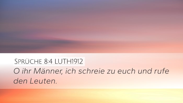 Sprüche 8:4 LUTH1912 Bible Verse Image