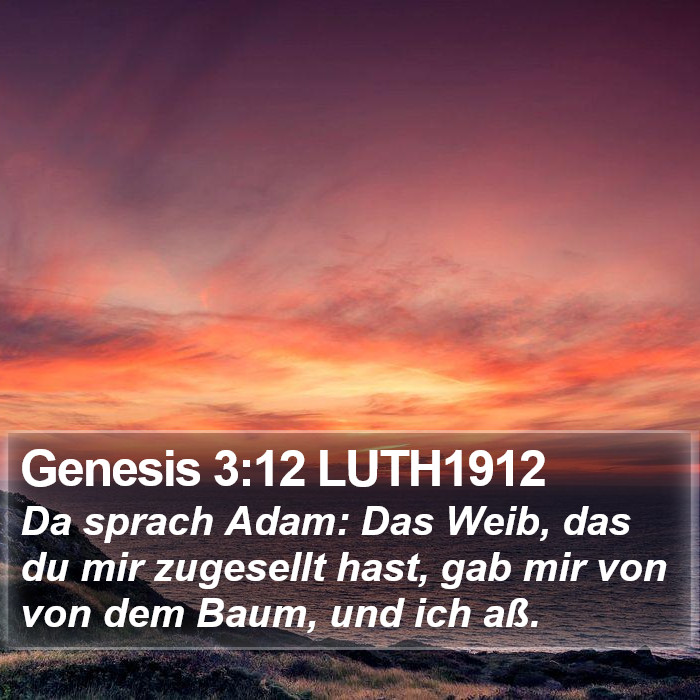 Genesis 3:12 LUTH1912 - Da sprach Adam: Das Weib, das du mir zugesellt - Bible Verse Picture