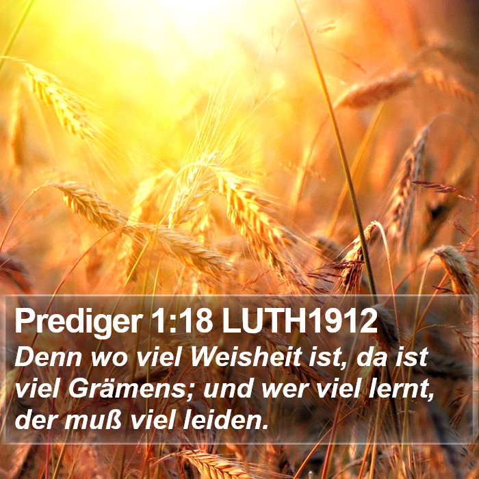 Prediger 3 Prediger 1 Bible Images - Prediger Chapter 1 LUTH1912 Bible Verse Pictures