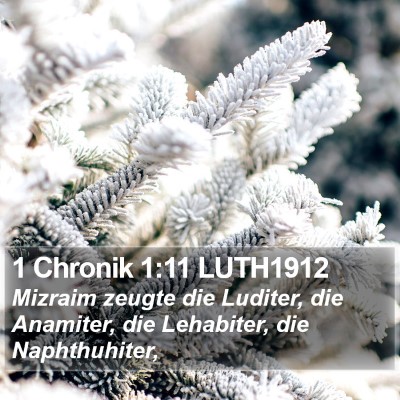 1 Chronik 1:11 LUTH1912 Bible Verse Image