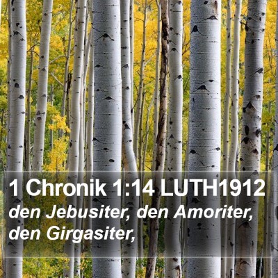 1 Chronik 1:14 LUTH1912 Bible Verse Image