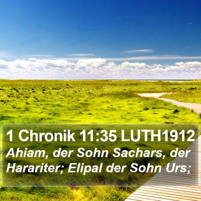 1 Chronik 11:35 LUTH1912 Bible Verse Image