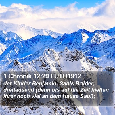 1 Chronik 12:29 LUTH1912 Bible Verse Image