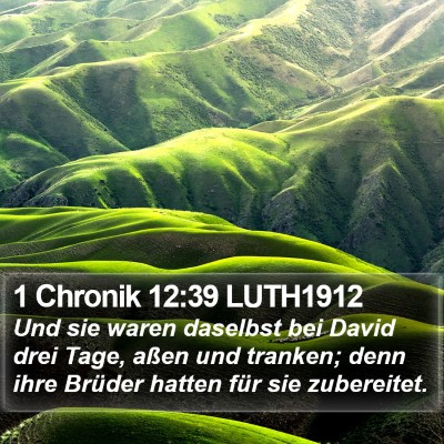 1 Chronik 12:39 LUTH1912 Bible Verse Image