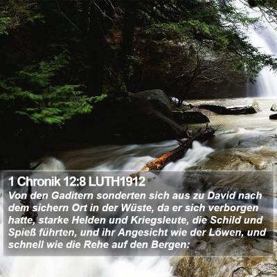 1 Chronik 12:8 LUTH1912 Bible Verse Image
