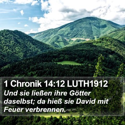 1 Chronik 14:12 LUTH1912 Bible Verse Image