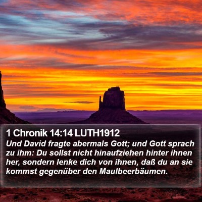 1 Chronik 14:14 LUTH1912 Bible Verse Image