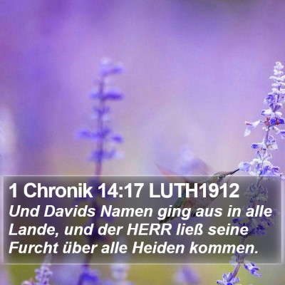 1 Chronik 14:17 LUTH1912 Bible Verse Image