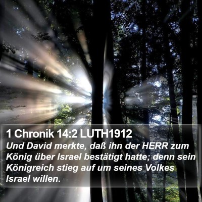 1 Chronik 14:2 LUTH1912 Bible Verse Image
