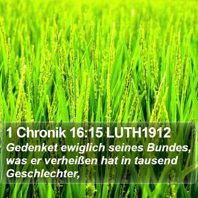 1 Chronik 16:15 LUTH1912 Bible Verse Image