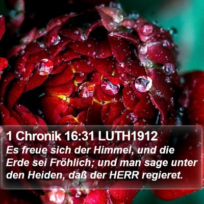 1 Chronik 16:31 LUTH1912 Bible Verse Image