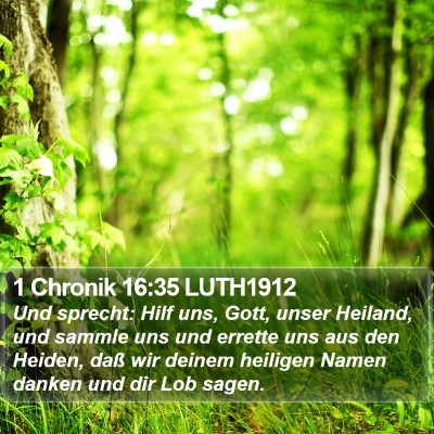 1 Chronik 16:35 LUTH1912 Bible Verse Image
