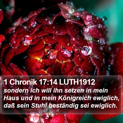 1 Chronik 17:14 LUTH1912 Bible Verse Image