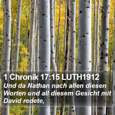 1 Chronik 17:15 LUTH1912 Bible Verse Image
