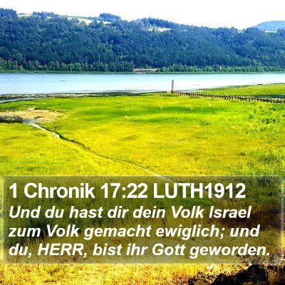 1 Chronik 17:22 LUTH1912 Bible Verse Image