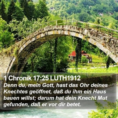 1 Chronik 17:25 LUTH1912 Bible Verse Image