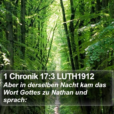 1 Chronik 17:3 LUTH1912 Bible Verse Image