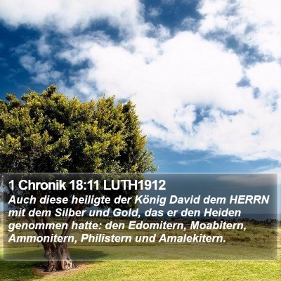 1 Chronik 18:11 LUTH1912 Bible Verse Image