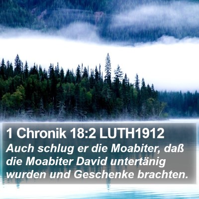1 Chronik 18:2 LUTH1912 Bible Verse Image