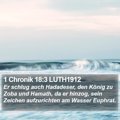 1 Chronik 18:3 LUTH1912 Bible Verse Image