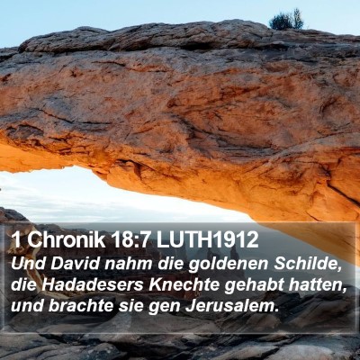 1 Chronik 18:7 LUTH1912 Bible Verse Image