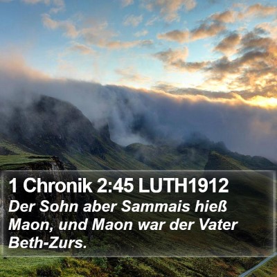 1 Chronik 2:45 LUTH1912 Bible Verse Image