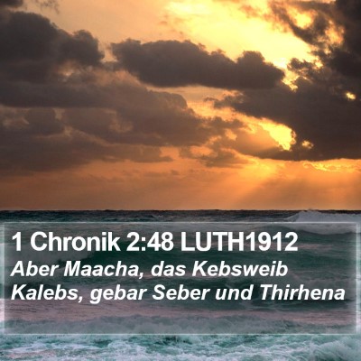 1 Chronik 2:48 LUTH1912 Bible Verse Image