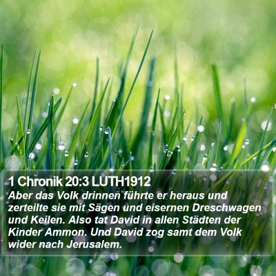 1 Chronik 20:3 LUTH1912 Bible Verse Image
