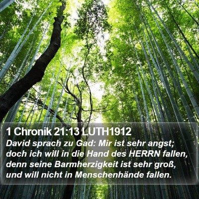 1 Chronik 21:13 LUTH1912 Bible Verse Image