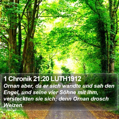1 Chronik 21:20 LUTH1912 Bible Verse Image