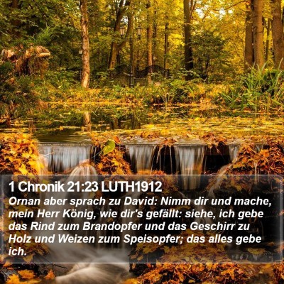1 Chronik 21:23 LUTH1912 Bible Verse Image