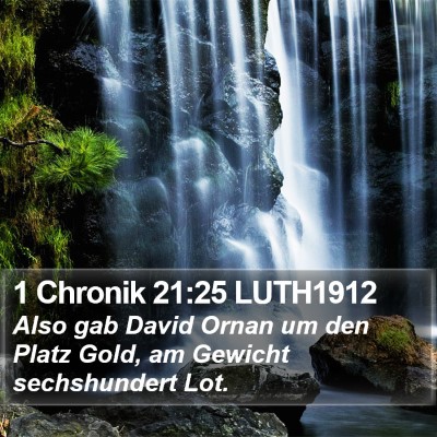 1 Chronik 21:25 LUTH1912 Bible Verse Image