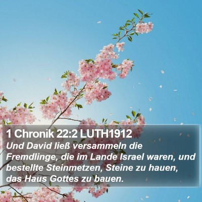 1 Chronik 22:2 LUTH1912 Bible Verse Image