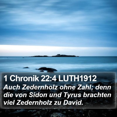 1 Chronik 22:4 LUTH1912 Bible Verse Image