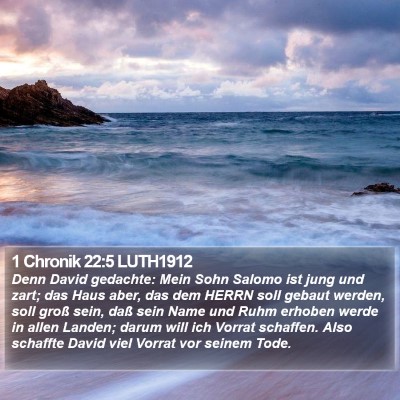 1 Chronik 22:5 LUTH1912 Bible Verse Image