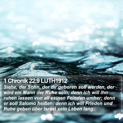 1 Chronik 22:9 LUTH1912 Bible Verse Image