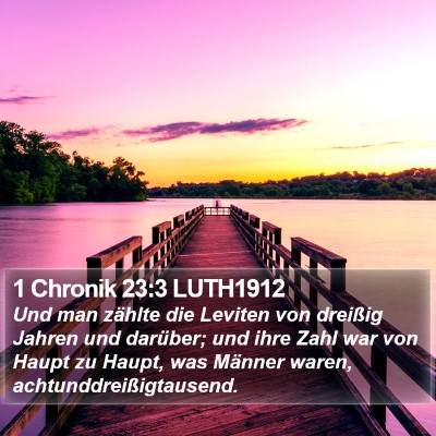 1 Chronik 23:3 LUTH1912 Bible Verse Image