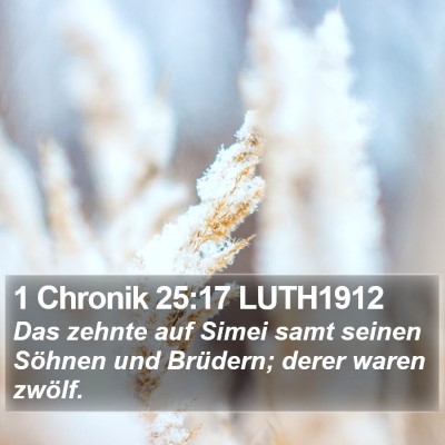 1 Chronik 25:17 LUTH1912 Bible Verse Image