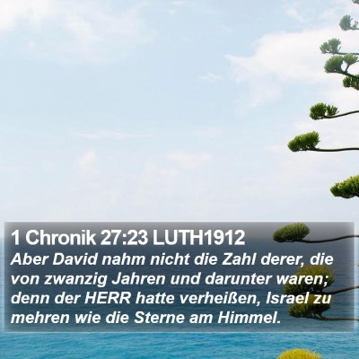 1 Chronik 27:23 LUTH1912 Bible Verse Image