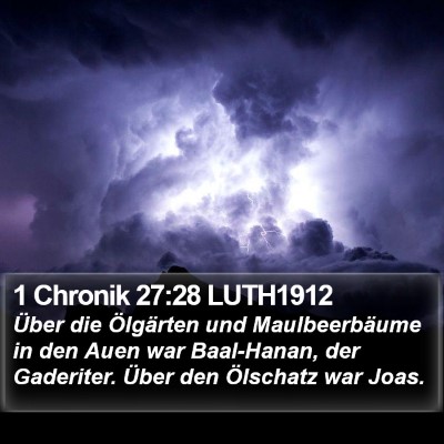 1 Chronik 27:28 LUTH1912 Bible Verse Image