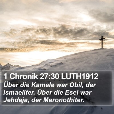 1 Chronik 27:30 LUTH1912 Bible Verse Image
