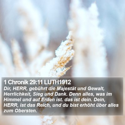 1 Chronik 29:11 LUTH1912 Bible Verse Image