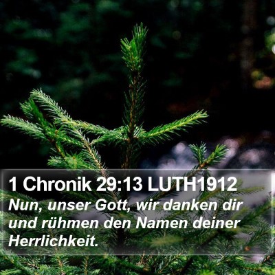 1 Chronik 29:13 LUTH1912 Bible Verse Image