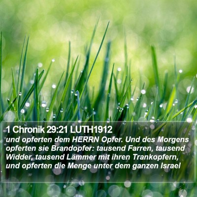 1 Chronik 29:21 LUTH1912 Bible Verse Image