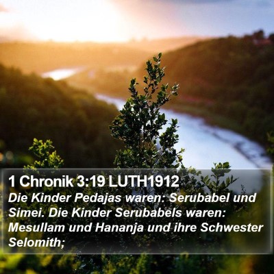 1 Chronik 3:19 LUTH1912 Bible Verse Image