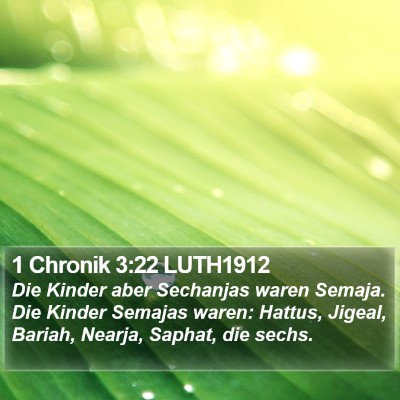 1 Chronik 3:22 LUTH1912 Bible Verse Image